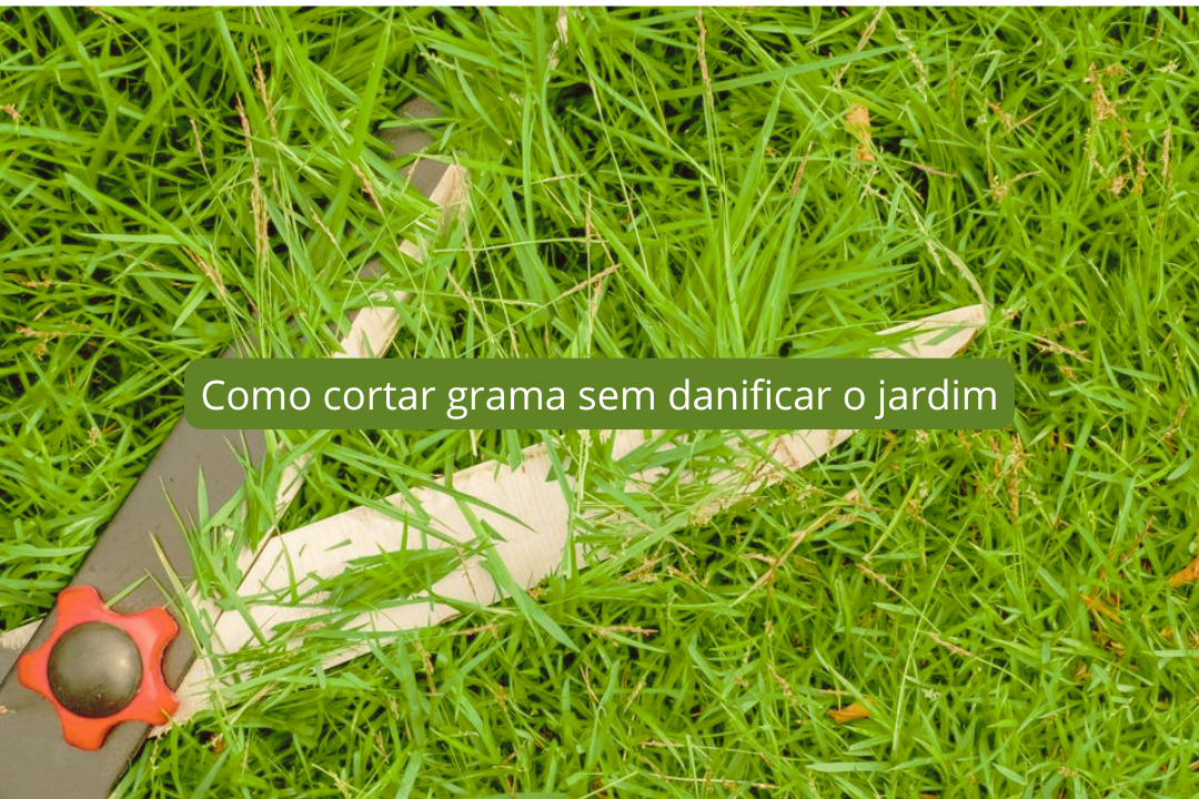 Como cortar grama sem danificar o jardim