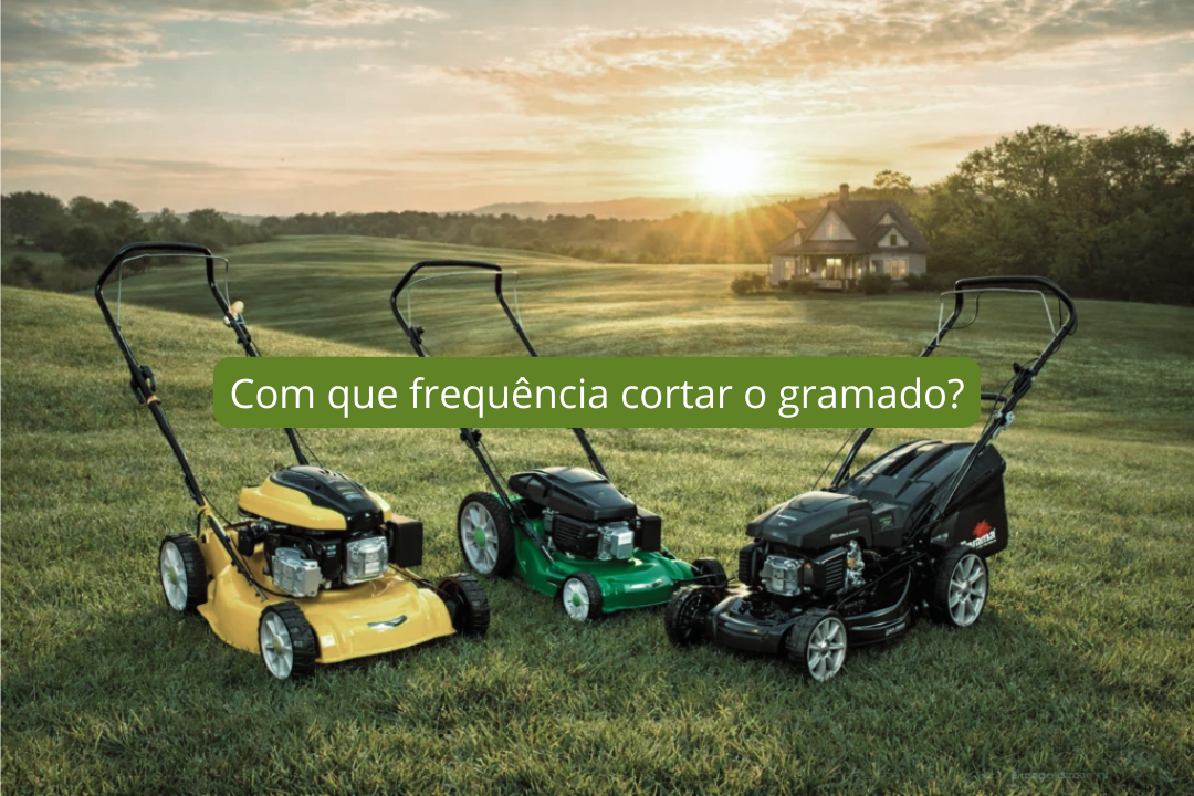Com que frequência cortar o gramado?
