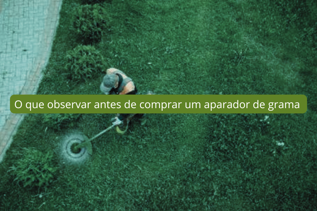 O que observar antes de comprar um aparador de grama