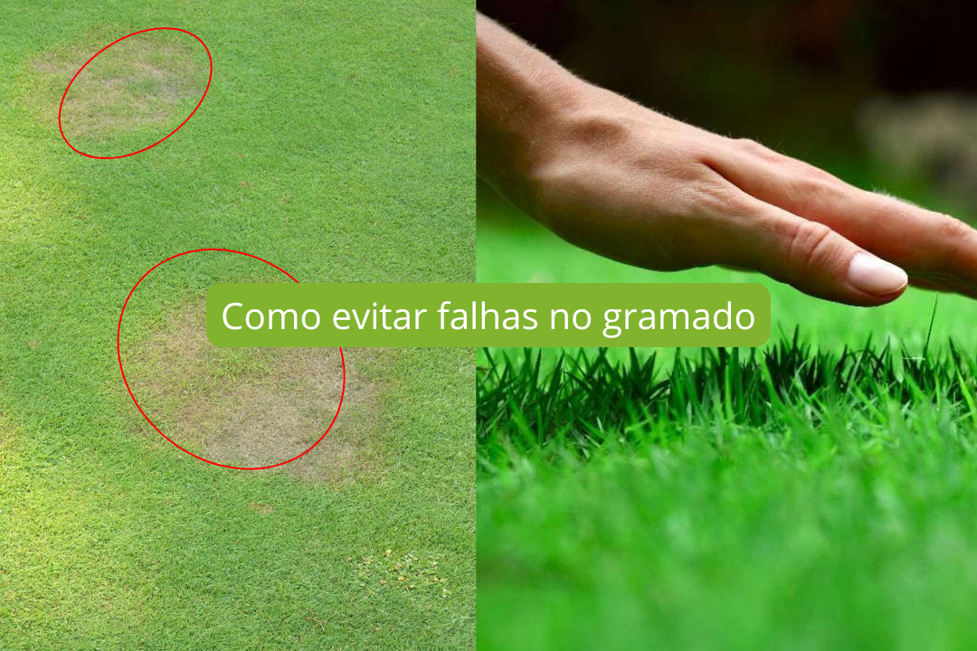 Como evitar falhas no gramado