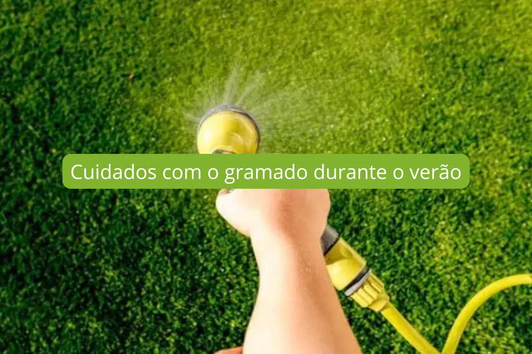 Cuidados com o gramado durante o verão