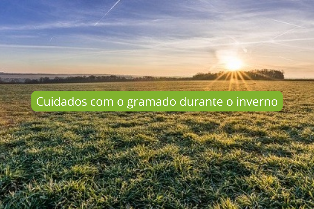 Cuidados com o gramado durante o inverno