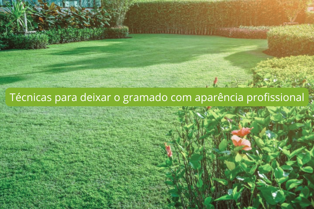 Técnicas para deixar o gramado com aparência profissional